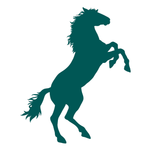 equine-1 pet back pain