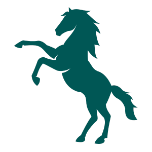 equine-2