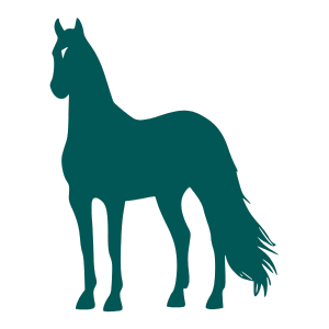 equine-3