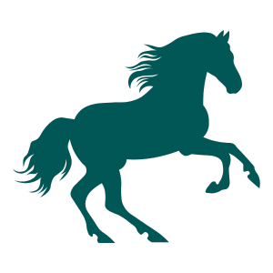 equine-6